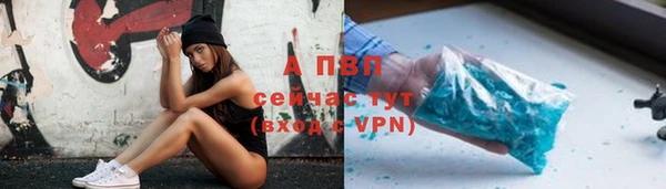 индика Аркадак