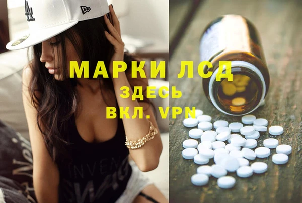 индика Аркадак